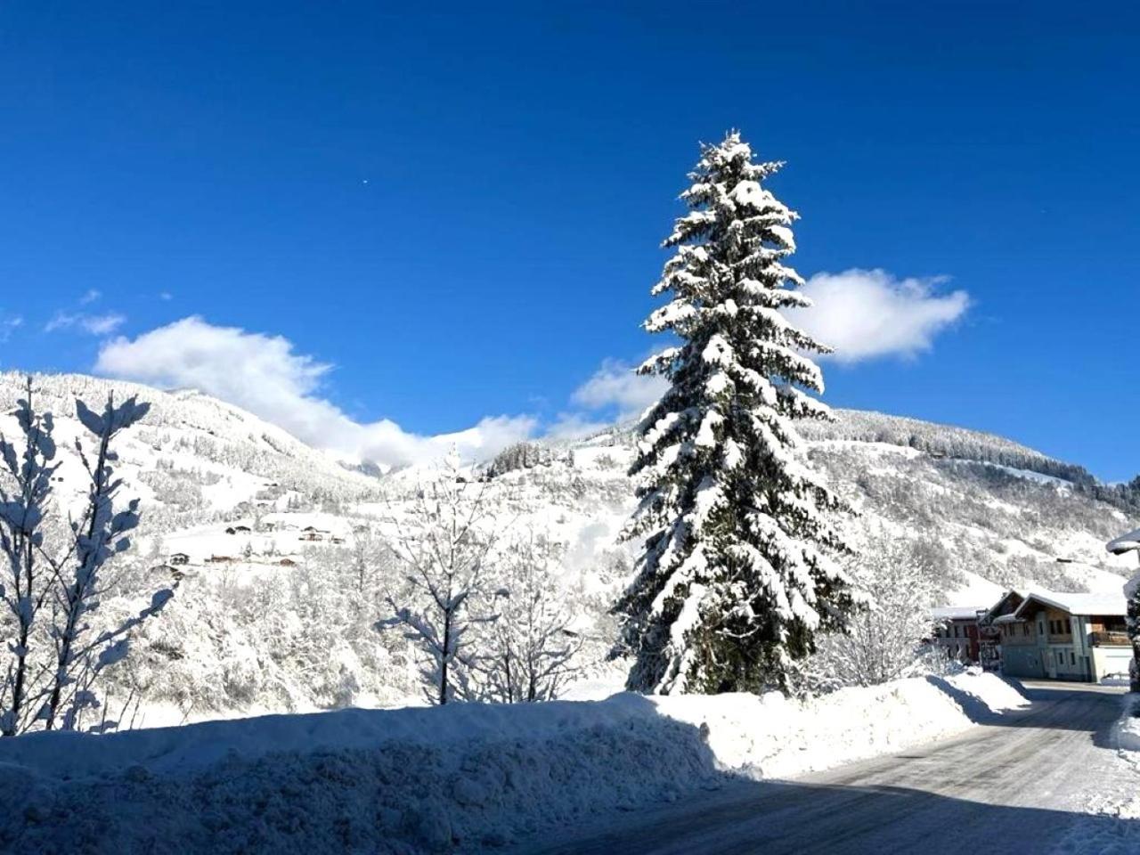 Penthouse Julia Naehe Badesee Mit Infrarotsauna -Zell Am See Kaprun 尼登希尔 外观 照片
